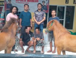 Misteri Hilangnya Sepasang Kuda Terungkap, Dua Pria Pencurinya Sukses Dibekuk Tim Opsnal Polsek Rastim
