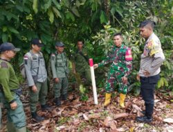 Pengamanan Hutan Santong Diperketat Melalui Patroli Lintas Instansi