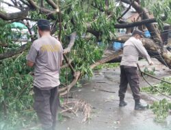 Polres Bima Kota Respon Cepat Bersihkan Pohon Tumbang di Seputar Gudang Bulog Jatiwangi dan Kelurahan Sarae