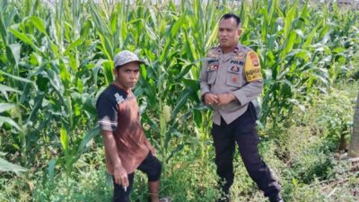 Polsek Labuapi Kawal Ketahanan Pangan di Bagik Polak