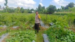 Polsek Gerung Ajak Warga Beleke Garap Lahan Tidur