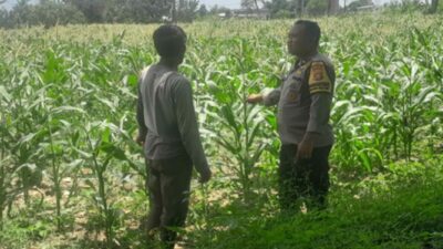 Bhabinkamtibmas Bagik Polak Barat Kawal Ketahanan Pangan