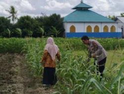 Polri Kawal Swasembada Pangan di Desa Telagawaru Lombok Barat