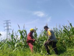 Bhabinkamtibmas Kuranji Dalang Motivasi Petani Lokal