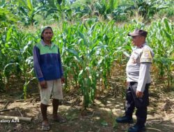 Sinergi Bhabinkamtibmas dan Petani Gerung Wujudkan Swasembada Pangan