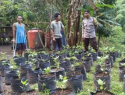 Bhabinkamtibmas Batulayar Dorong Warga Manfaatkan Lahan Kosong