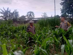 Kapolsek Labuapi Pantau Pemanfaatan Lahan Produktif di Lombok Barat
