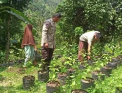 Polri Dorong Ketahanan Pangan di Lombok Barat Melalui Pekarangan