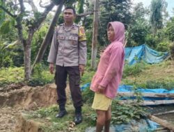 Polsek Lembar Perkuat Ketahanan Pangan di Lombok Barat