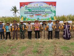 Wujudkan Swasembada Pangan, Kapolres Sumbawa Gelar Panen Raya Jagung Serentak Kuartal I Tahun 2026
