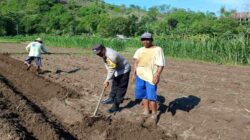 Bhabinkamtibmas Gerung Sambangi Petani Giri Tembesi Pastikan Kamtibmas