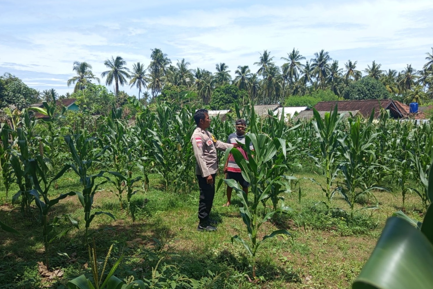 Polri Motivasi Petani Sekotong Barat Optimalkan Lahan Pertanian