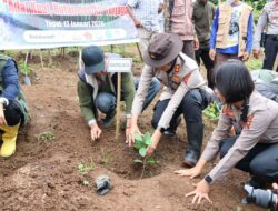 Wujud Sinergitas, Kapolres dan Bupati Sumbawa Tanam Seribu Arabika demi Kelestarian Batulanteh