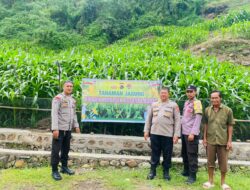 Dukung Ketahanan Pangan Nasional, Polres Bima Kota Pantau Perkembangan Tanaman Jagung Milik Warga