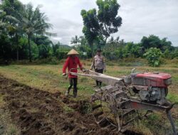 Dukung Ketahanan Pangan, Bhabinkamtibmas Desa Kalabeso Sambangi Petani di Sawa Batu Swoan