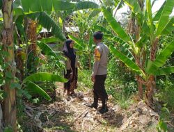 Bhabinkamtibmas Desa Pamanto Motivasi Warga Wujudkan Ketahanan Pangan Mandiri