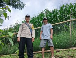 Bhabinkamtibmas Polsek Kilo Pantau Lahan Jagung Warga di Desa Mbuju, Dukung Program Ketahanan Pangan Nasional