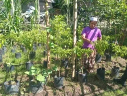 Polsek Batulayar Dorong Warga Manfaatkan Lahan Pekarangan