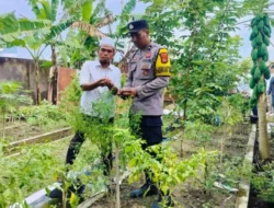 Polri Dorong Ketahanan Pangan di Desa Bajur Lombok Barat