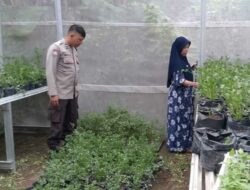 Polsek Batulayar Perkuat Ketahanan Pangan di Meninting