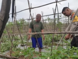 Polri Kawal Ketahanan Pangan di Kuranji Dalang Lombok Barat