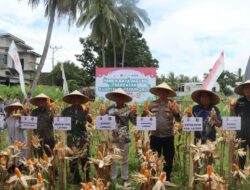 Polres Loteng Ikuti Panen Raya Jagung Serentak Kuartal IV Tahun 2025