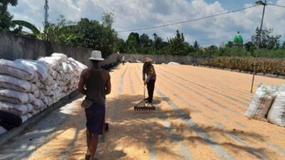 Polres Lombok Barat Kawal Ketahanan Pangan di Desa Dasan Tapen