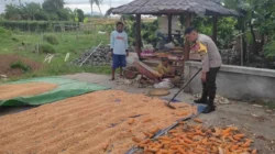 Langkah Polsek Labuapi Optimalkan Lahan Produktif di Kuranji Dalang