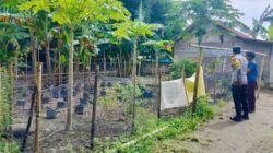 Polsek Labuapi Dorong Kemandirian Pangan Lewat Pemanfaatan Lahan
