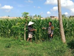 Polres Lombok Barat Intensifkan Pendampingan Ketahanan Pangan Desa