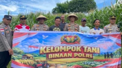 Dukung Kedaulatan Pangan, Polres Lombok Barat Bina 35 Hektar Lahan di Sekotong