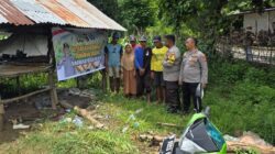 Polsubsektor Palibelo,Monitoring Pertumbuhan Jagung, Para Petani Keluhkan Batang Jagung Membusuk Akibat Tingginya Curah Hujan