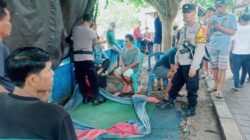 Respon Cepat Laporan Warga, Kapolsek Sumbawa Pimpin Pembubaran Judi Sabung Ayam di Brangbara