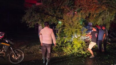“Quick Response”Polsek Woha Evakuasi Pohon Tumbang di Jalan Lintas Bima-Tente”