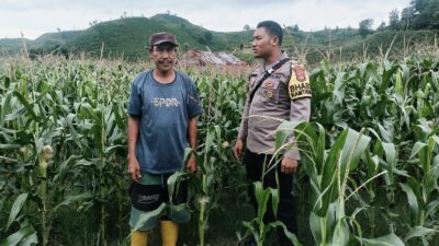 Bhabinkamtibmas Desa Adu Pantau Lahan Jagung Warga, Dukung Program Ketahanan Pangan Nasional Menuju Indonesia Emas