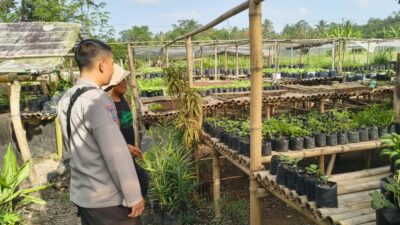 Bhabinkamtibmas Desa Tamekan Monitoring Pekarangan Bergizi, Dukung Program Asta Cita Swasembada Pangan