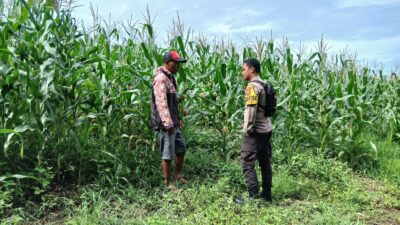 Ketahanan Pangan Diperkuat, Polsek Pekat Dampingi Petani Menuju Indonesia Emas 2045