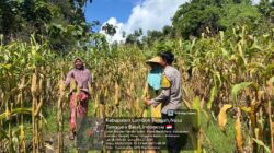 Bhabinkamtibmas Pandan Indah Sambangi Warga, Cek Tanaman Jagung dan Sampaikan Info HET