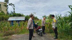 Kapolsek Sakra Kunjungi Petani Jagung, Ajak Warga Tingkatkan Ketahanan Pangan