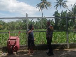 Polri Kawal Swasembada Pangan di Desa Kuranji