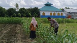 Sinergi Polsek Labuapi Dukung Swasembada Pangan di Desa