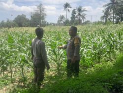 Polsek Labuapi Kawal Swasembada Pangan di Bagik Polak Barat