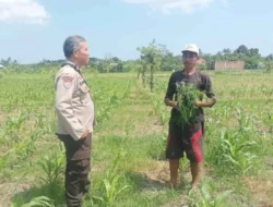 Polsek Batulayar Dorong Warga Sandik Optimalkan Lahan Demi Pangan