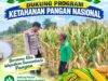 Polri dukung progam Astacita, Polsek Jatirogo Polresta Tuban Turun Cek Tanaman jagung Warga di Desa Kebonharjo