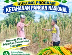 Polsek Palang Dukung Ketahanan Pangan Nasional Melalui Pemantauan Lahan Jagung