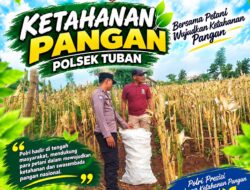 Polsek Tuban Dukung Ketahanan Pangan, Perkuat Sinergi Bersama Petani