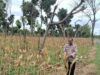 Polri Dukung Astacita, Polsek Merakurak Polresta Tuban Turun Cek Tanaman Jagung Warga di Desa Tuwiri Wetan