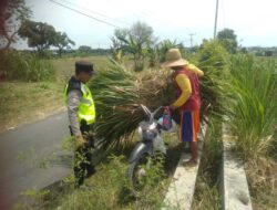 Polri Dukung Astacita, Polsek jenu Polres Tuban Turun Cek Tanaman Jagung Warga di Desa Jenu