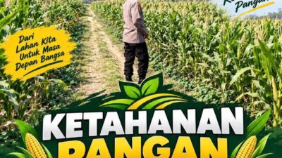 Polsek Soko Polresta Tuban Turun Langsung Cek Tanaman Jagung Warga