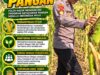 Mendukung Program Ketahanan Pangan, Bhabinkamtibmas Monitoring Pertumbuhan Jagung